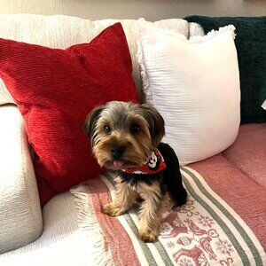 Meet your Posher, Aliana